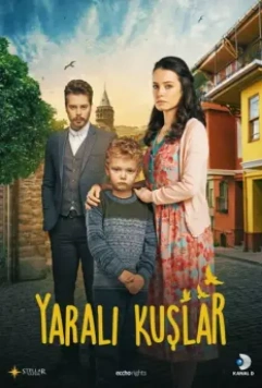 Раненые птицы / Yarali Kuslar 2019 скачать через торрент в хорошем качестве