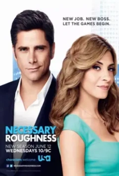 Необходимая жестокость / Necessary Roughness 2011 скачать через торрент в хорошем качестве