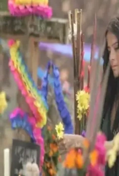 Красивая неудачница 2009 скачать через торрент бесплатно Красивая неудачница 2009 скачать через торрент бесплатно