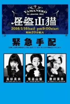 Призрачный вор Яманеко / Kaitô Yamaneko 2016 скачать через торрент в хорошем качестве