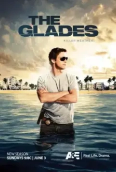 Пляжный коп / The Glades 2010 скачать через торрент в хорошем качестве