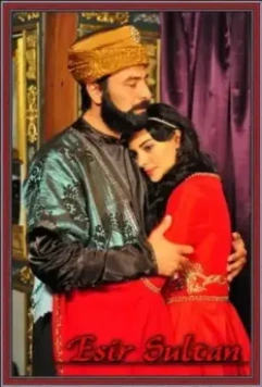 Султан невольник / Esir Sultan 2012 скачать через торрент в хорошем качестве