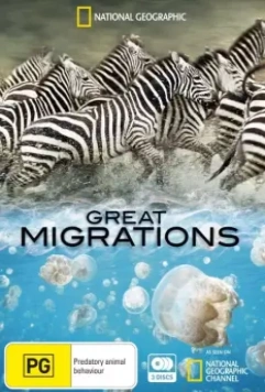 Великие миграции / Great Migrations 2010 скачать через торрент в хорошем качестве