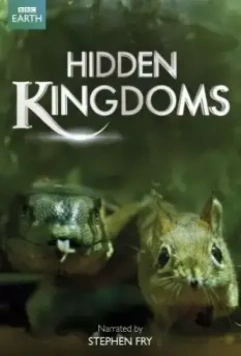 Сокрытые миры / Hidden Kingdoms 2014 скачать через торрент в хорошем качестве