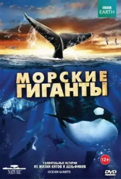 BBC: Морские гиганты / Ocean Giants 2011 скачать через торрент в хорошем качестве