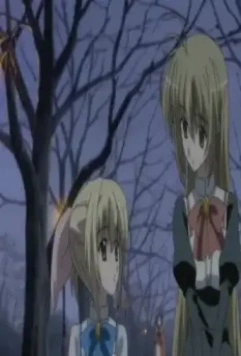 Девушка влюбилась в старшую сестру 2006 скачать с торрента Девушка влюбилась в старшую сестру 2006 скачать с торрента