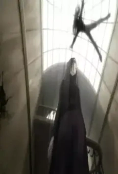 Эрго Прокси 2006 скачать с торрента Эрго Прокси 2006 скачать с торрента