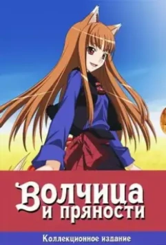 Волчица и пряности / Ookami to Koushinryou 2008 скачать через торрент в хорошем качестве