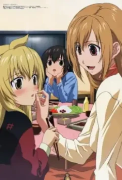 Сестры Минами 2 / Minami-ke: Okawari 2008 скачать через торрент в хорошем качестве