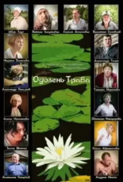 Одолень-трава 2014 скачать через торрент в хорошем качестве