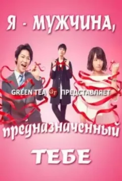 Я — твоя судьба / Boku, unmei no hito desu 2017 скачать через торрент в хорошем качестве