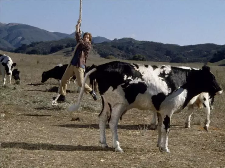 Крысиные бега 2001 скачать торрентом Крысиные бега 2001 скачать торрентом