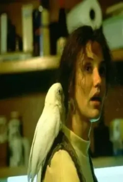 Быть Джоном Малковичем 1999 скачать через торрент бесплатно Быть Джоном Малковичем 1999 скачать через торрент бесплатно