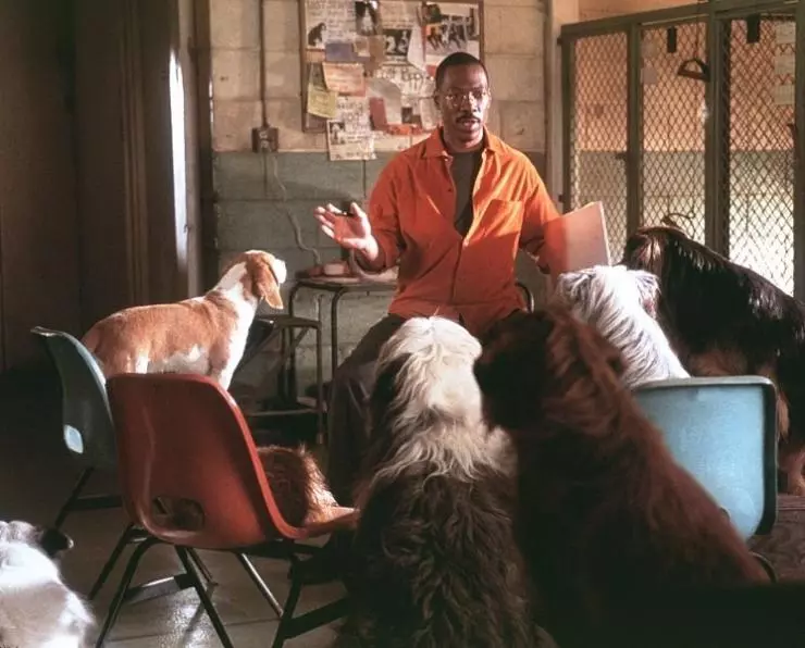 Доктор Дулиттл 2 2001 скачать через торрент бесплатно Доктор Дулиттл 2 2001 скачать через торрент бесплатно