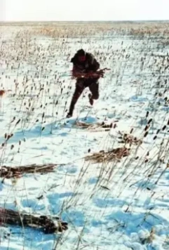 Дерсу Узала 1975 скачать торрентом Дерсу Узала 1975 скачать торрентом