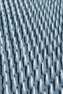 Накойкаци. Жизнь как война 2002 скачать через торрент бесплатно Накойкаци. Жизнь как война 2002 скачать через торрент бесплатно