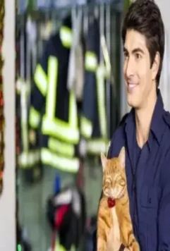 Девять жизней Рождества 2013 скачать с торрента Девять жизней Рождества 2013 скачать с торрента