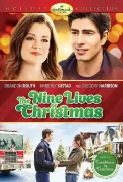 Девять жизней Рождества / Nine Lives of Holidays 2013 скачать через торрент в хорошем качестве