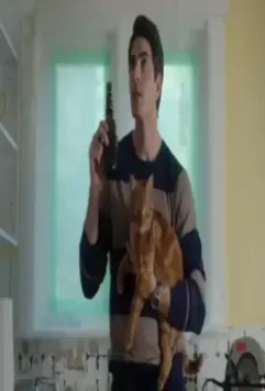 Девять жизней Рождества 2013 скачать через торрент бесплатно Девять жизней Рождества 2013 скачать через торрент бесплатно