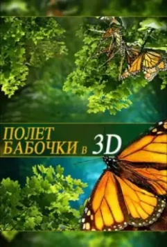 Полет бабочки 3D / Flight of the Monarch Butterfly 3D 2012 скачать через торрент в хорошем качестве
