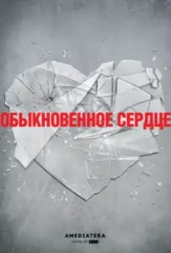 Обыкновенное сердце / The Normal Heart 2014 скачать через торрент в хорошем качестве