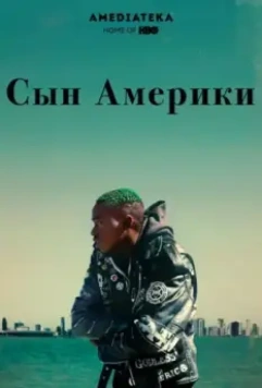 Сын Америки / Native Son 2019 скачать через торрент в хорошем качестве