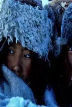 Гималаи 1999 скачать с торрента Гималаи 1999 скачать с торрента