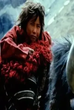 Гималаи 1999 скачать через торрент бесплатно Гималаи 1999 скачать через торрент бесплатно