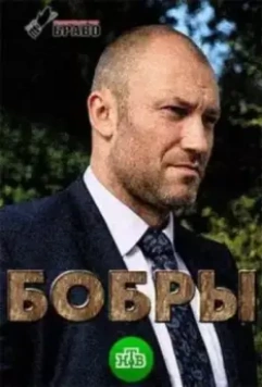 Бобры 2018 скачать через торрент в хорошем качестве