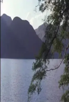 Знамёна самураев 1968 скачать через торрент бесплатно Знамёна самураев 1968 скачать через торрент бесплатно