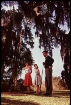 Мыс страха 1962 скачать через торрент бесплатно Мыс страха 1962 скачать через торрент бесплатно