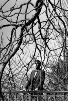 Мыс страха 1962 скачать с торрента Мыс страха 1962 скачать с торрента