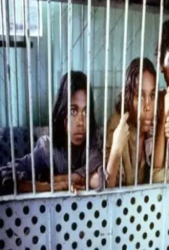 Клетка для кроликов 2002 скачать с торрента Клетка для кроликов 2002 скачать с торрента