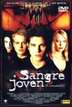 Чернокнижник: Новое поколение / The Brotherhood 2: Young Warlocks 2001 скачать через торрент в хорошем качестве