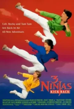 Три ниндзя наносят ответный уда / 3 Ninjas II: Kick Back 1994 скачать через торрент в хорошем качестве