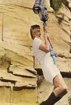 На древо взгромоздясь 1971 скачать с торрента На древо взгромоздясь 1971 скачать с торрента