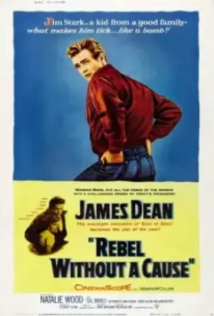 Бунтарь без причины / Rebel Without a Cause 1955 скачать через торрент в хорошем качестве