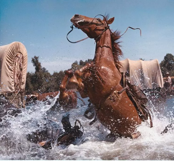 Путь на Запад 1967 скачать с торрента Путь на Запад 1967 скачать с торрента