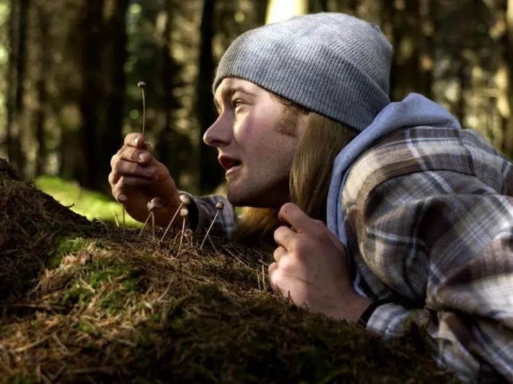 Грибы 2007 скачать через торрент бесплатно Грибы 2007 скачать через торрент бесплатно