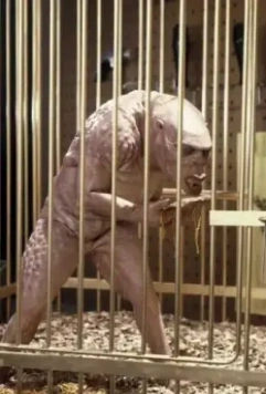 Врата 2: Нарушители 1990 скачать через торрент бесплатно Врата 2: Нарушители 1990 скачать через торрент бесплатно