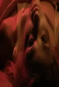 Лихорадка 2014 скачать с торрента Лихорадка 2014 скачать с торрента