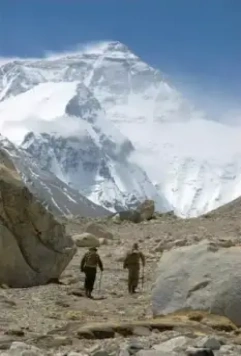 Самая дикая мечта 2010 скачать с торрента Самая дикая мечта 2010 скачать с торрента