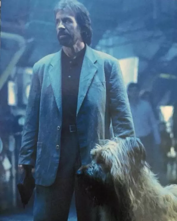 Главная собака 1995 скачать с торрента Главная собака 1995 скачать с торрента