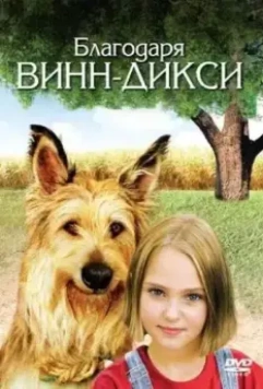 Благодаря Винн Дикси / Because of Winn-Dixie 2005 скачать через торрент в хорошем качестве