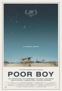 Бедный мальчик / Poor Boy 2016 скачать через торрент в хорошем качестве