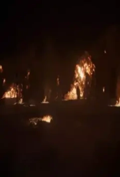 Адам: Зеркало 2017 скачать с торрента Адам: Зеркало 2017 скачать с торрента