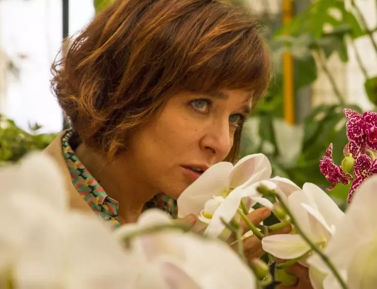 Скрытый цвет вещей 2017 скачать с торрента Скрытый цвет вещей 2017 скачать с торрента