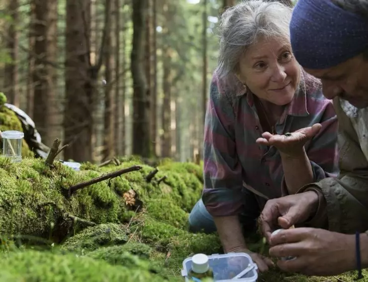 След зверя 2017 скачать торрентом След зверя 2017 скачать торрентом