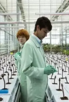 Малыш Джо (2019)