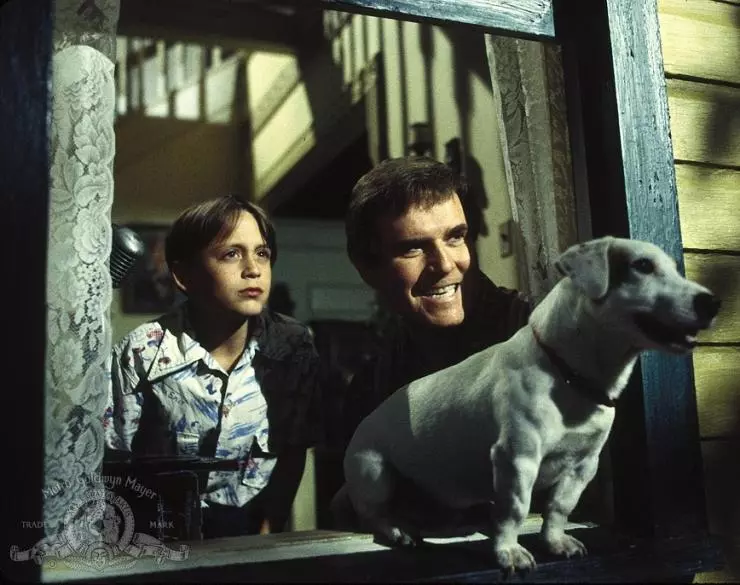 История моего лета 1994 скачать с торрента История моего лета 1994 скачать с торрента